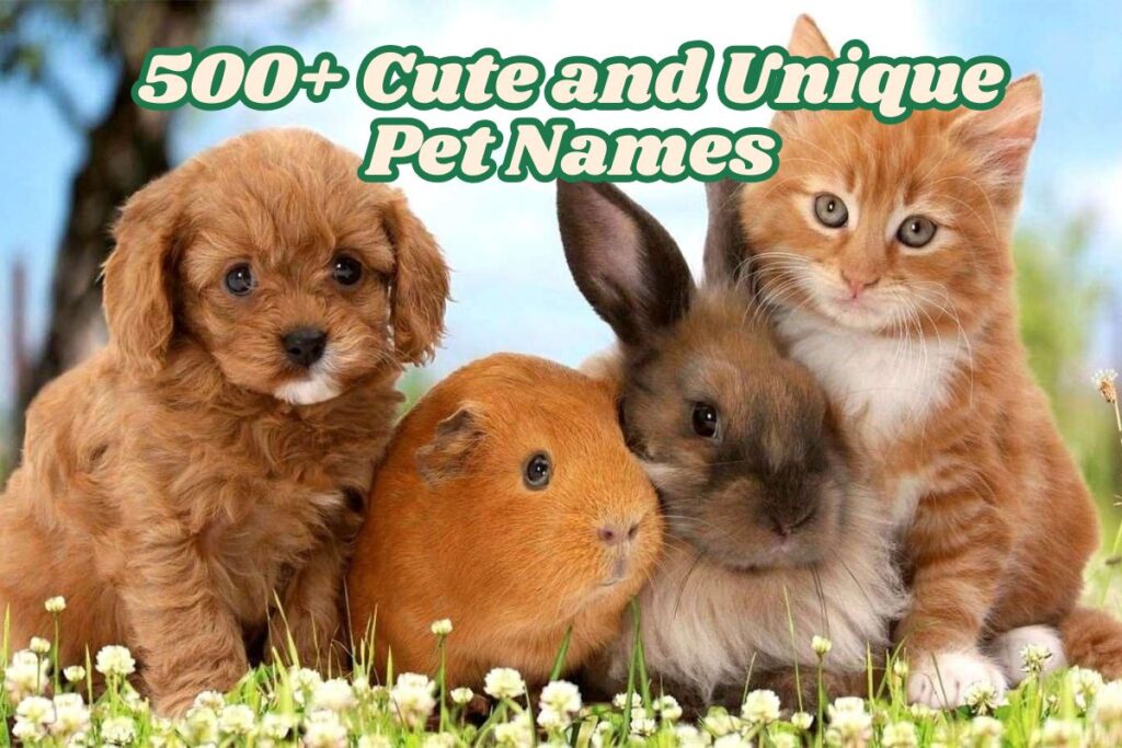 500+ Cute and Unique Pet Names for Dogs, Cats, and Other Pets (2025 Guide)