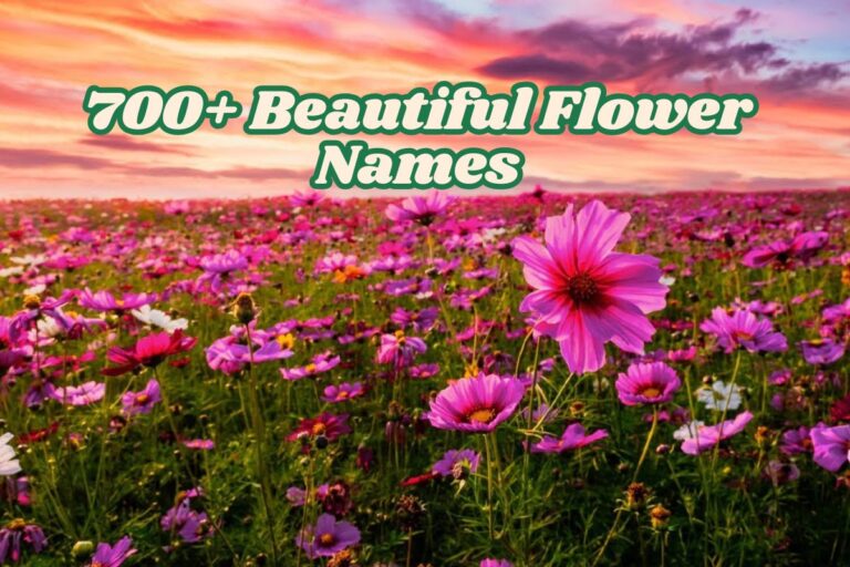 700+ Beautiful Flower Names_ A Complete Guide by Type, Color & Origin