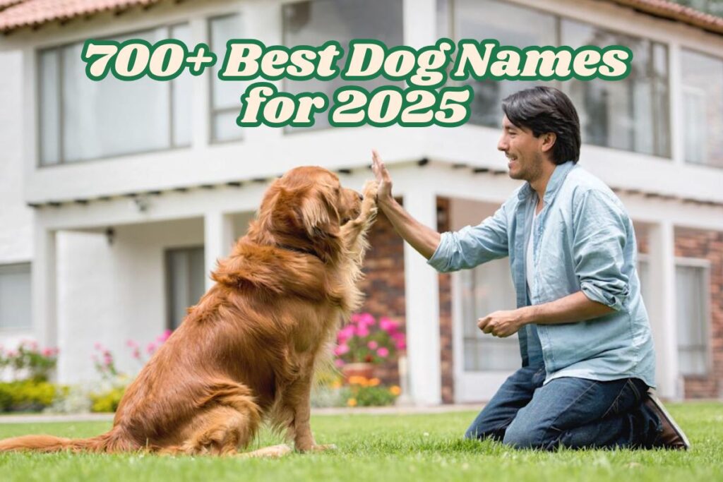 700+ Best Dog Names for 2025