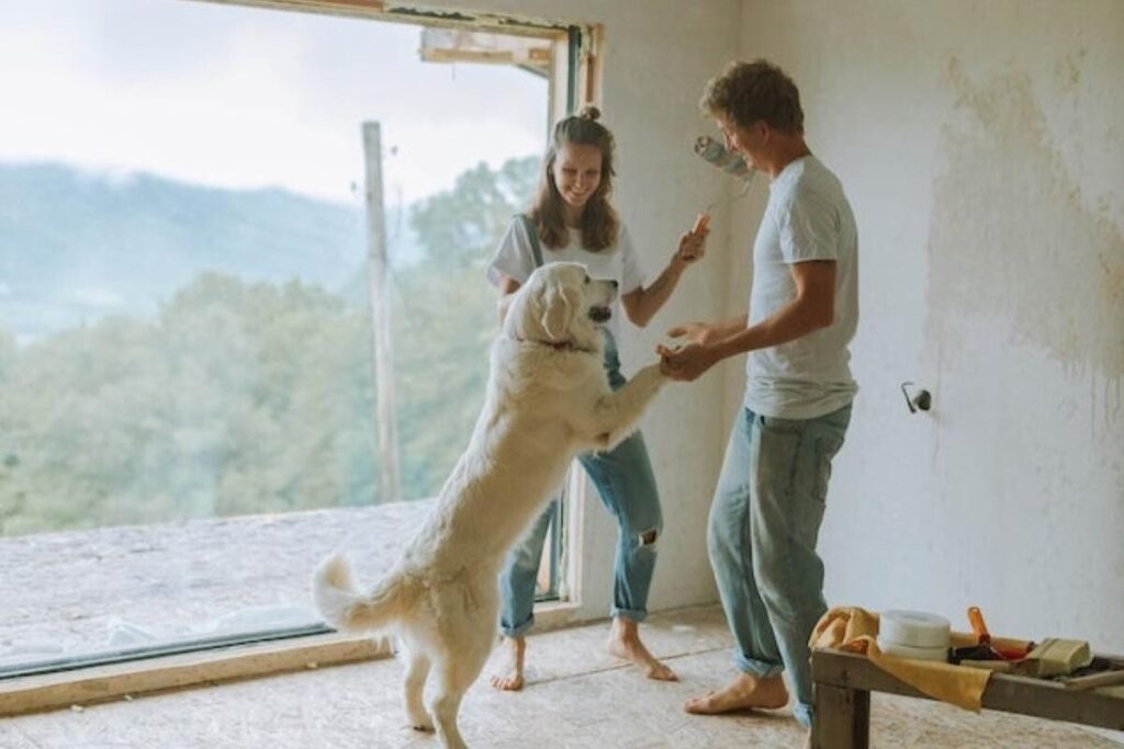 Most Popular Dog Names of 2025