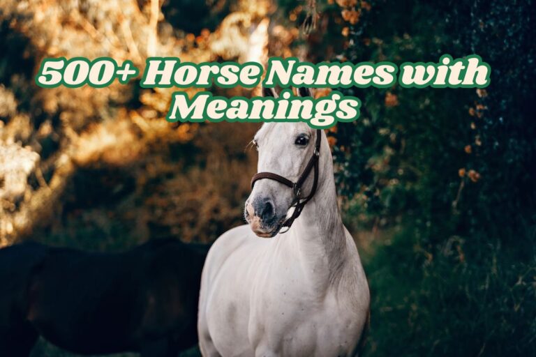 500+ Horse Names with Meanings_ Cute, Funny & Unique Ideas