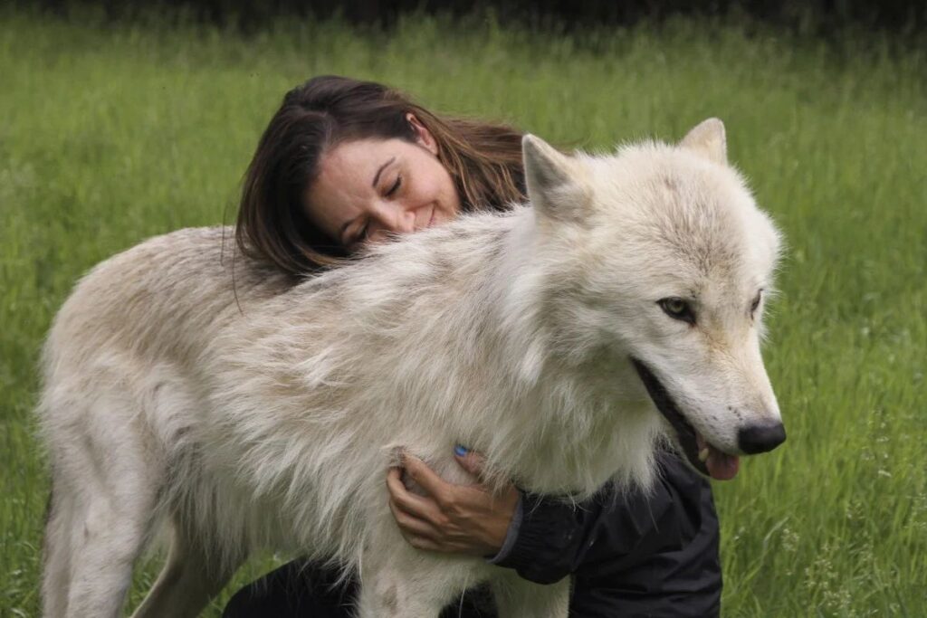Female Wolf Names