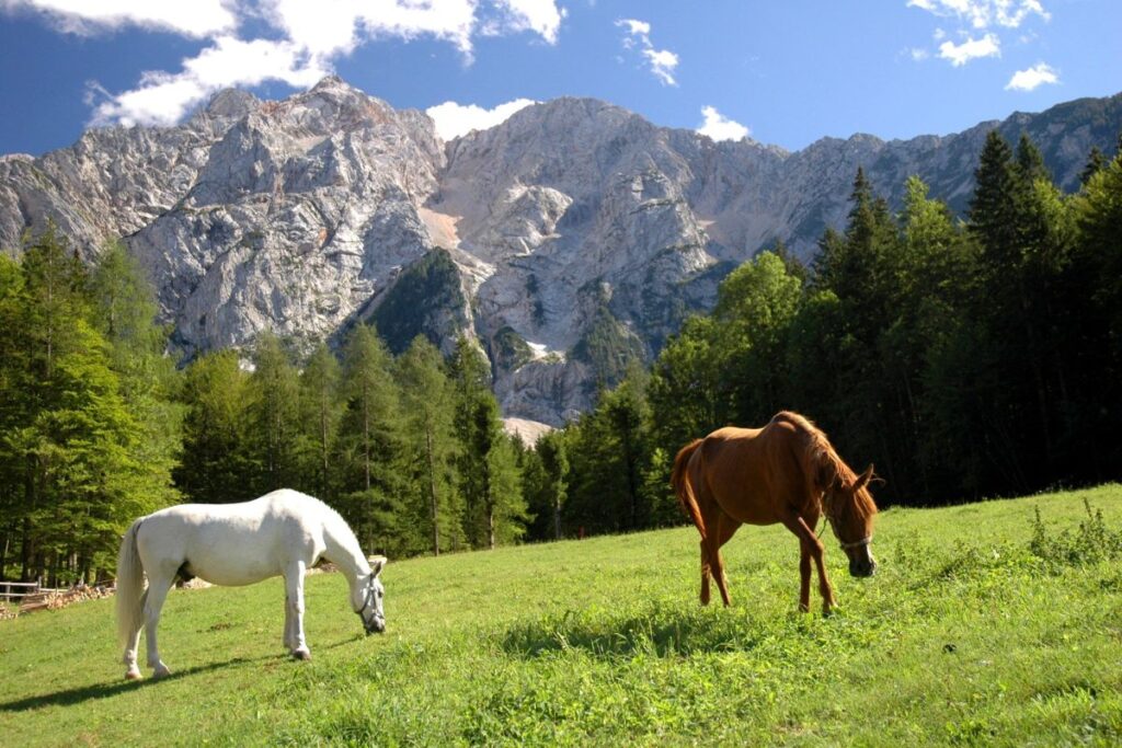Nature Inspired Horse Names with Meanings