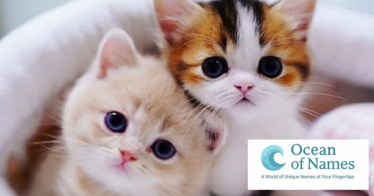300 Cute Cat Names with Meanings for 2025