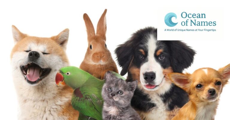450+ Best Cute Pet Names For 2025