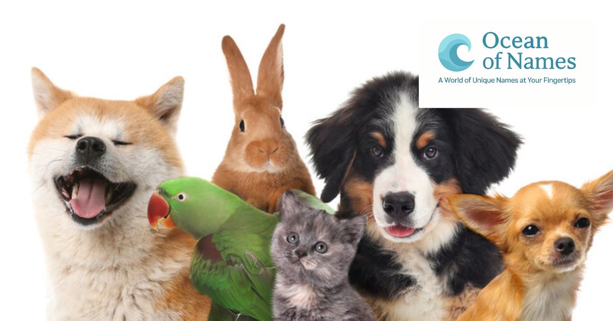 450+ Best Cute Pet Names For 2025