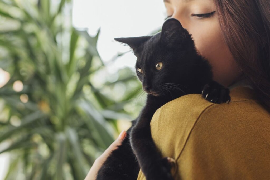 🖤 Cute Black Cat Names 