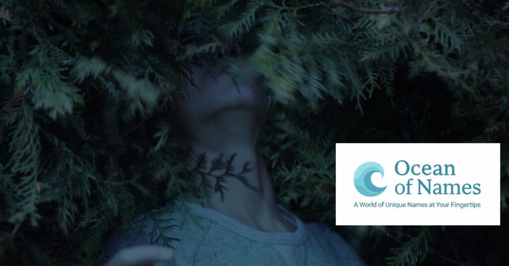 450 Best Aesthetic Dark Usernames with Meaning for 2025 450 Best Aesthetic Dark Usernames with Meaning for 2025