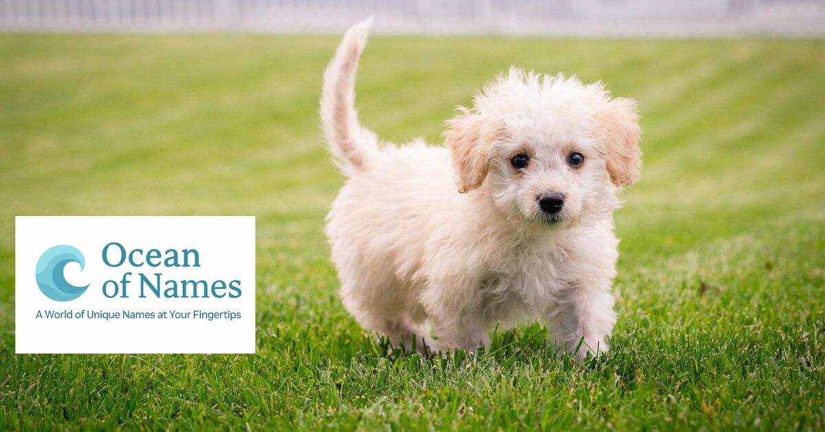 250 Best Cute Dog Names with Meanings for 2025