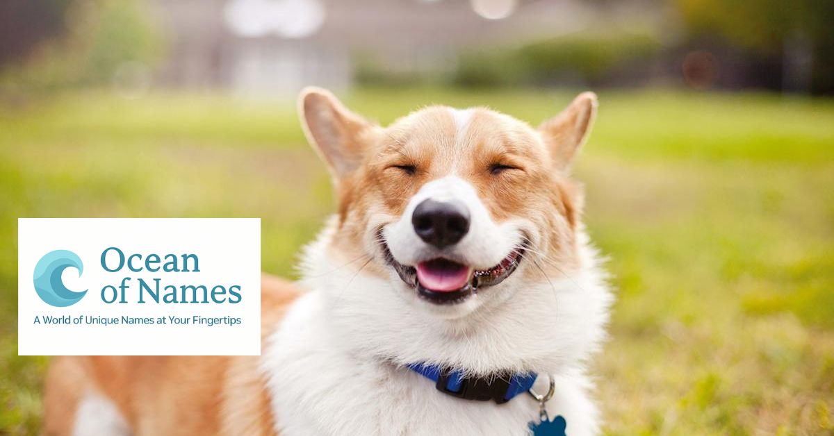 400 Best Funny Dog Names with Meanings for 2025