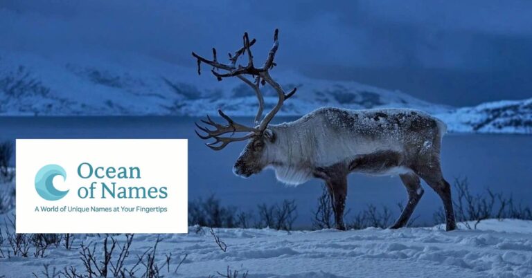 550 Best Reindeer Names with Meanings for 2025