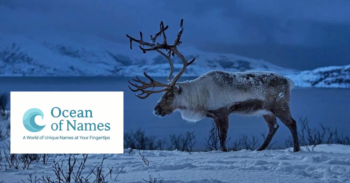 550 Best Reindeer Names with Meanings for 2025