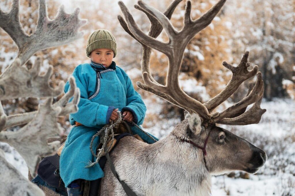 🌨️ Male Reindeer Names